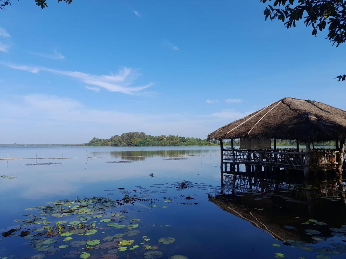 Lake Resort Bolgoda Ваддува Экстерьер фото